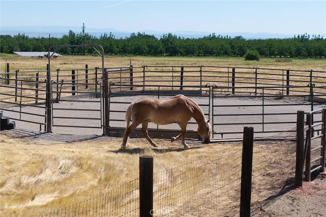 2787 Grape Way, Chico, CA 95973 - horse barn with a rural view