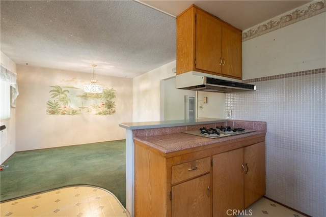 1359 W I St, Ontario, CA 91762 - kitchen with gas cooktop, under cabinet range hood, carpet floors, brown cabinetry, and a textured ceiling