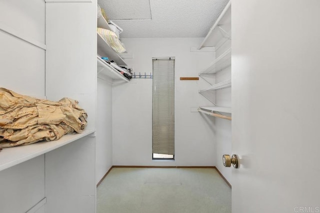 10879 Charing Cross Rd, Spring Valley, CA 91978 - spacious closet featuring carpet flooring