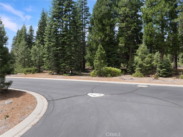 208 Blue Fox Dr, Westwood, CA 96137 - photo 22