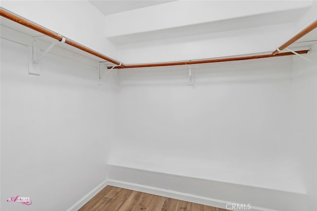 spacious closet featuring wood finished floors