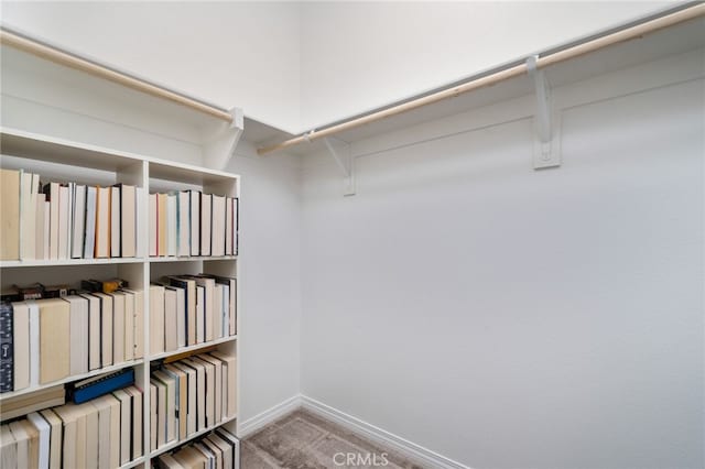 16502 Casa Grande Ave Unit 102, Fontana, CA 92336 - walk in closet featuring carpet