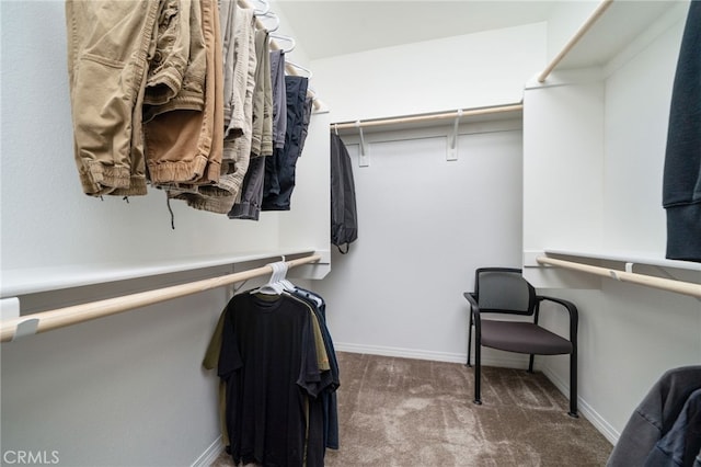 16502 Casa Grande Ave Unit 102, Fontana, CA 92336 - walk in closet featuring carpet floors