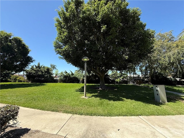 11057 Dudley Way, Stanton, CA 90680 - view of green lawn