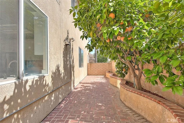 149 E Saint Andrews St, Ontario, CA 91761 - view of property exterior with a fenced backyard, a patio, and stucco siding