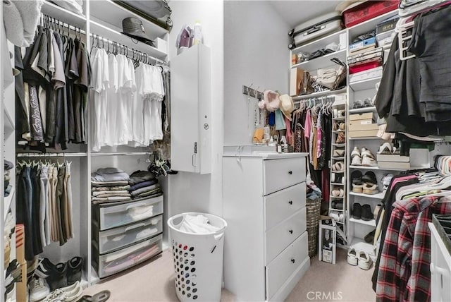 31164 Twilight Vista Dr, Menifee, CA 92584 - spacious closet with carpet floors