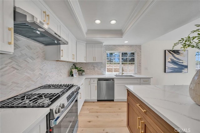 14181 Moore Ct, Irvine, CA 92606 - kitchen with stainless steel appliances, under cabinet range hood, a raised ceiling, crown molding, and tasteful backsplash