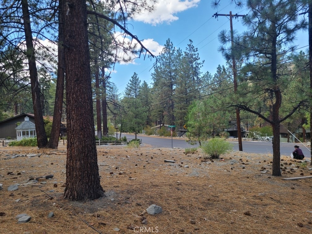 0 Lodgepole Dr, Wrightwood, CA 92397 - photo 1