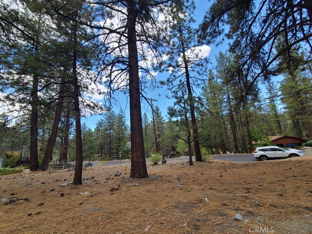 0 Lodgepole Dr, Wrightwood, CA 92397 - photo 2