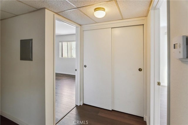 8544 Independence Ave Unit 102, Canoga Park, CA 91304 - hall featuring dark wood-style floors, a paneled ceiling, and electric panel