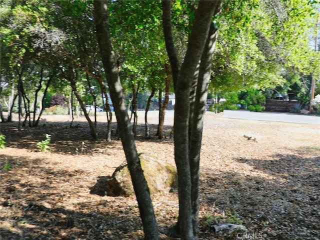 3157 Riviera Heights Dr, Kelseyville, CA 95451 - photo 11