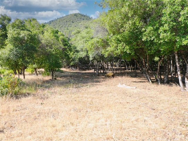 3157 Riviera Heights Dr, Kelseyville, CA 95451 - photo 5