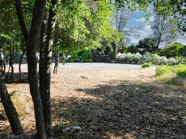 3157 Riviera Heights Dr, Kelseyville, CA 95451 - photo 12