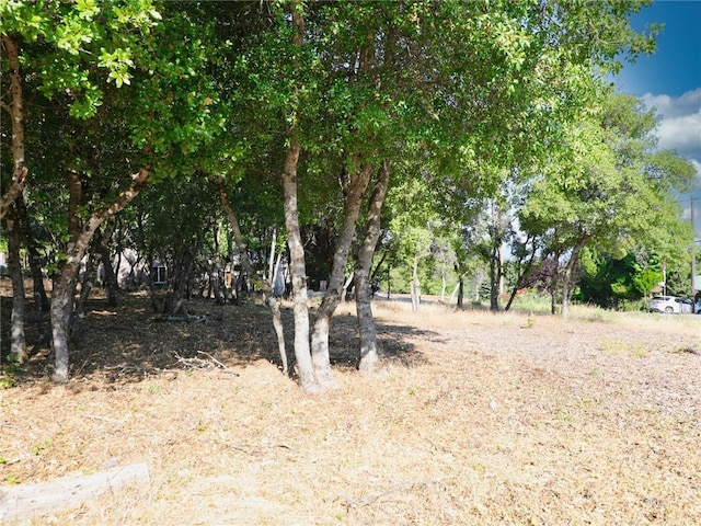 3157 Riviera Heights Dr, Kelseyville, CA 95451 - photo 8