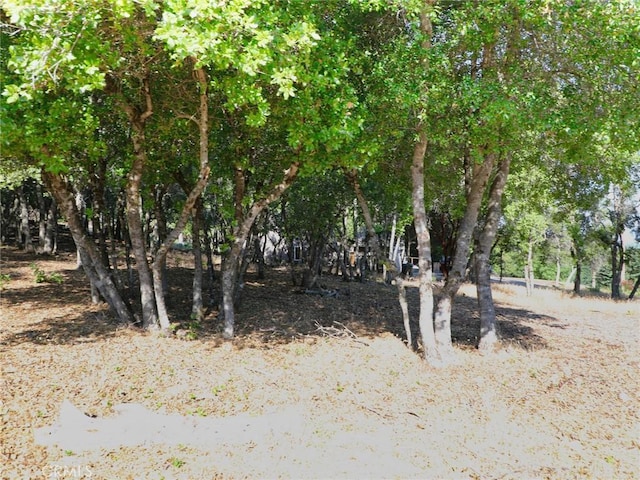 3157 Riviera Heights Dr, Kelseyville, CA 95451 - photo 7