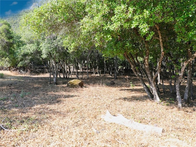 3157 Riviera Heights Dr, Kelseyville, CA 95451 - photo 6