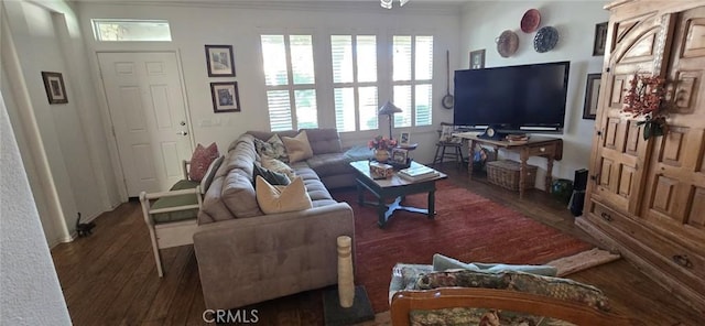240 Glenview Ln, Hemet, CA 92545 - photo 4