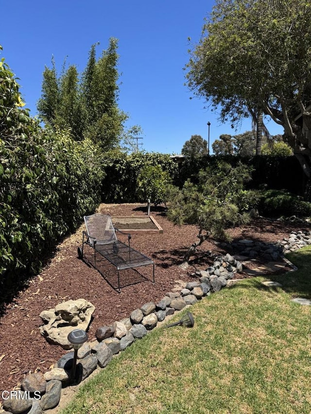 1501 Devonshire Dr, Oxnard, CA 93030 - view of grassy yard