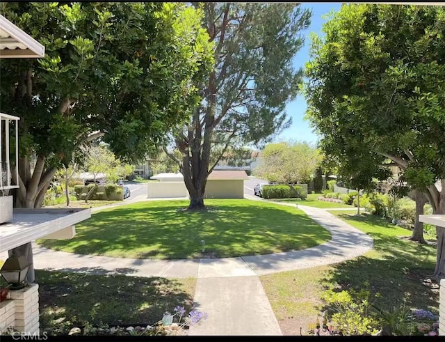 811 Ronda Mendoza Unit P, Laguna Woods, CA 92637 - view of green lawn