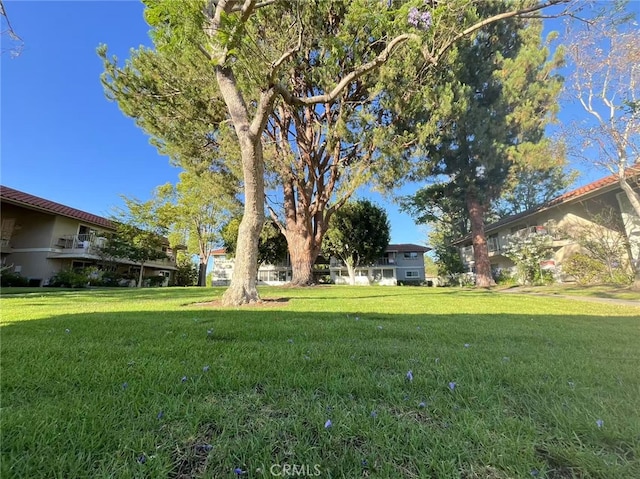 811 Ronda Mendoza Unit P, Laguna Woods, CA 92637 - view of green lawn