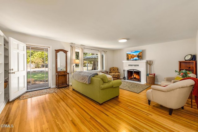 840 Fairview Rd, Ojai, CA 93023 - living room featuring light wood finished floors and a lit fireplace