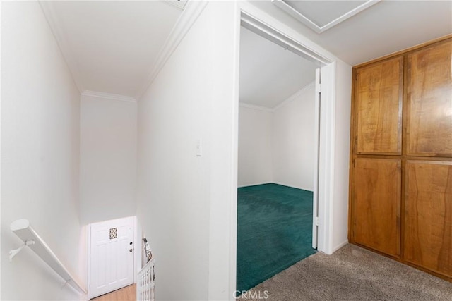408 N Catalina Ave Unit 6, Pasadena, CA 91106 - photo 16