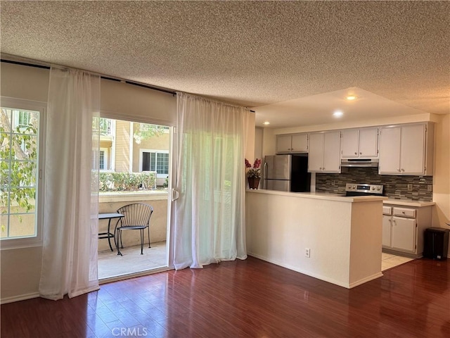 8711 Chessington Dr Unit D, Inglewood, CA 90305 - kitchen featuring appliances with stainless steel finishes, under cabinet range hood, a textured ceiling, plenty of natural light, and recessed lighting