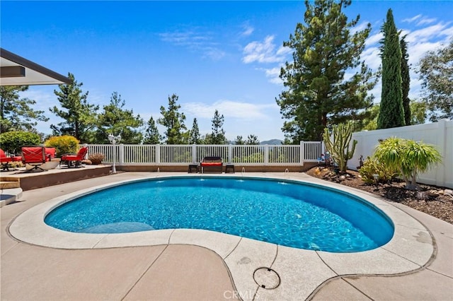 32409 Favara Dr, Temecula, CA 92592 - view of pool featuring a patio