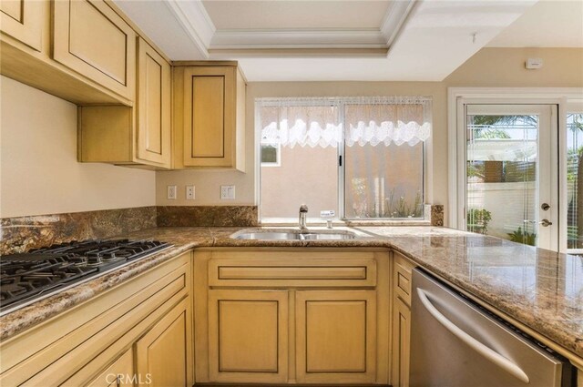 24961 Beachwalk Way, Dana Point, CA 92629 - kitchen featuring stainless steel appliances, crown molding, a raised ceiling, and dark stone counters
