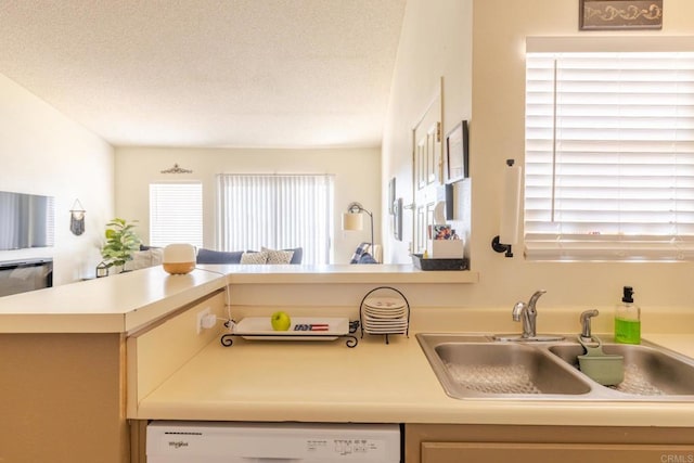 1000 Rodeo Dr Unit 515, Imperial, CA 92251 - kitchen with dishwasher, open floor plan, light countertops, a textured ceiling, and stainless steel dishwasher