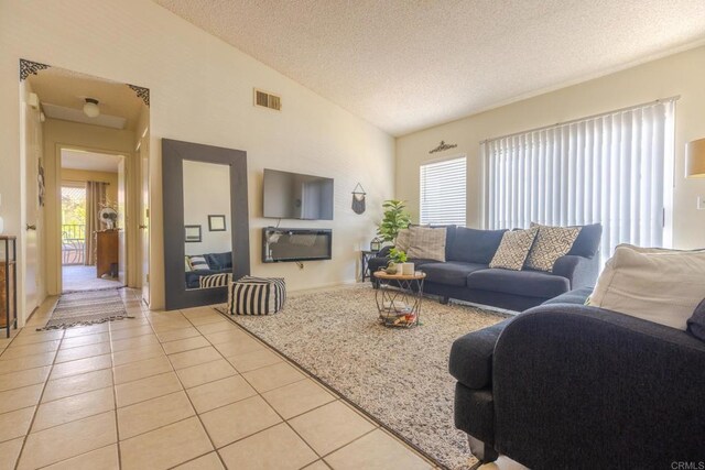 1000 Rodeo Dr Unit 515, Imperial, CA 92251 - living room featuring light tile patterned floors, a textured ceiling, and lofted ceiling