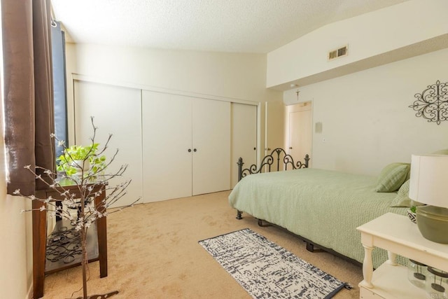 1000 Rodeo Dr Unit 515, Imperial, CA 92251 - bedroom with vaulted ceiling, carpet flooring, a closet, and a textured ceiling