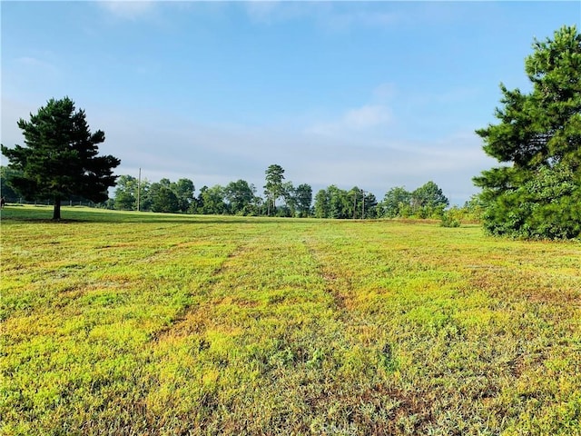 2088 Fm 1251, Beckville, TX 75631 - photo 3