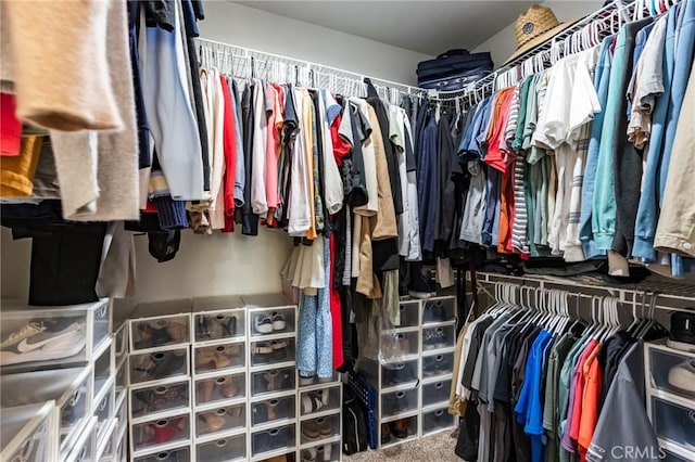 7434 Paisley Ave, Hesperia, CA 92345 - walk in closet featuring carpet