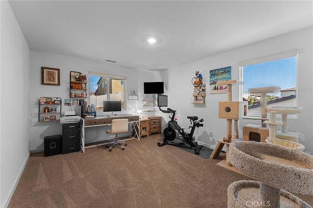 14028 Cavallano Ct, Beaumont, CA 92223 - photo 27