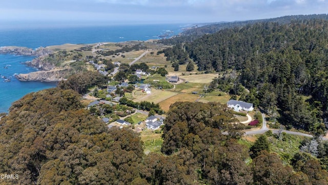 3875 Albion Little River Rd, Albion, CA 95410 - photo 25