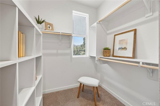 426 W Central Ave, Brea, CA 92821 - walk in closet featuring carpet floors