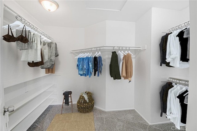 30526 Beryl Pl, Castaic, CA 91384 - spacious closet with carpet