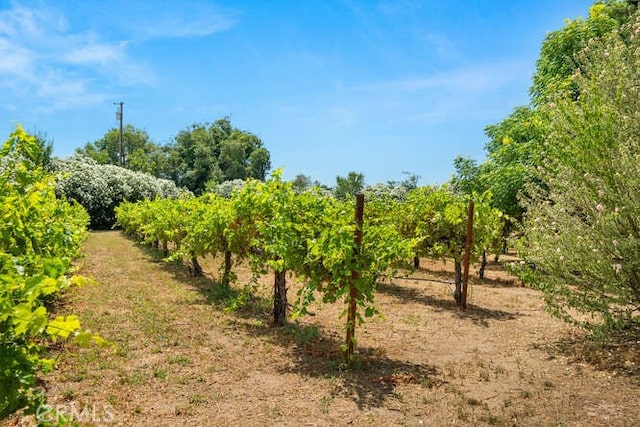 2915 Kennedy Ave Unit A & B, Chico, CA 95973 - view of undeveloped land with farmland and rural landscape