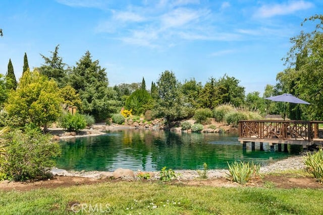 2915 Kennedy Ave Unit A & B, Chico, CA 95973 - water view