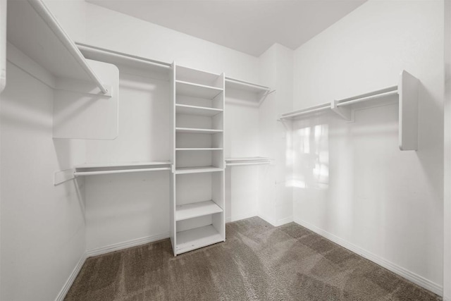 1033 Goldeneye, Carlsbad, CA 92011 - spacious closet with carpet