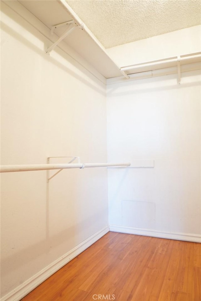 570 W Stocker St Unit 202, Glendale, CA 91202 - walk in closet featuring light wood-style flooring