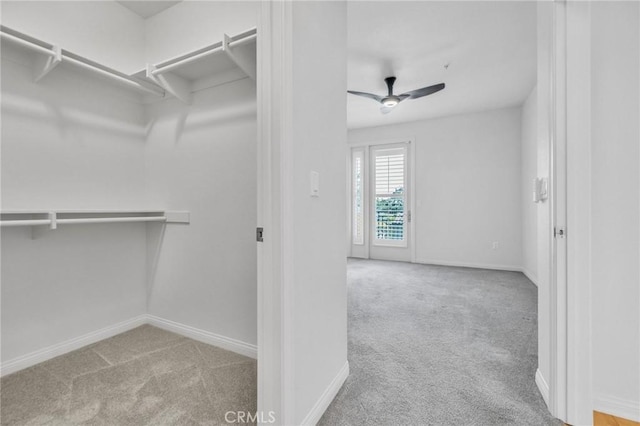 3887 Pell Pl Unit 414, San Diego, CA 92130 - walk in closet featuring carpet and ceiling fan