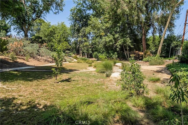 3131 E Cortez St, West Covina, CA 91791 - view of yard featuring view of wooded area