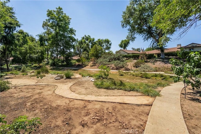 3131 E Cortez St, West Covina, CA 91791 - view of yard