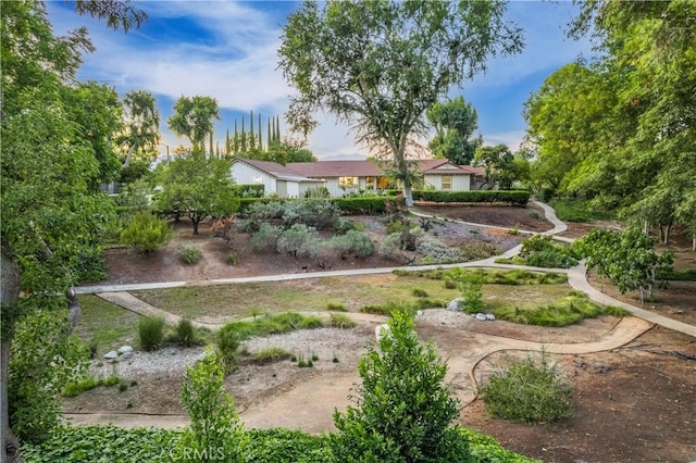 3131 E Cortez St, West Covina, CA 91791 - view of yard