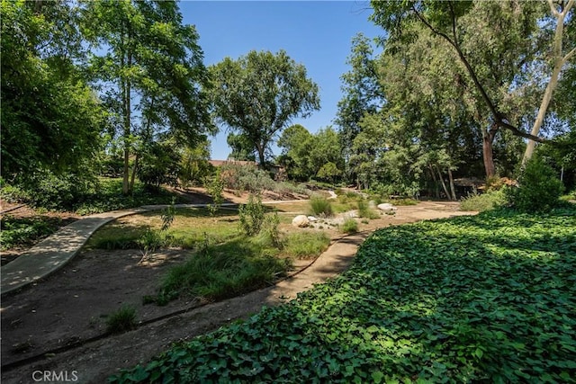 3131 E Cortez St, West Covina, CA 91791 - view of yard