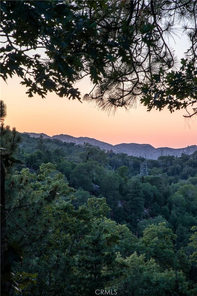1244 St Anton Dr, Lake Arrowhead, CA 92352 - view of mountain backdrop featuring a forest