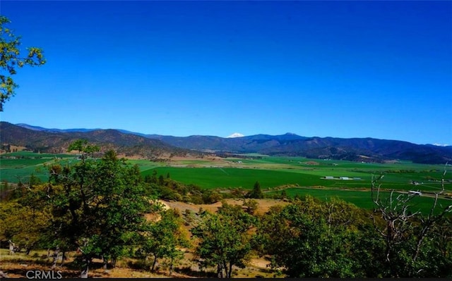 0 Scott River Rd, Fort Jones, CA 96032 - photo 8