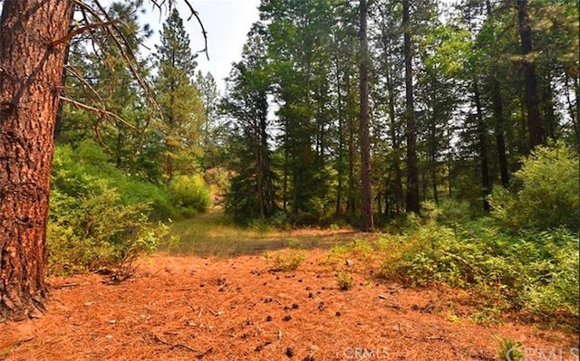 0 Scott River Rd, Fort Jones, CA 96032 - photo 11